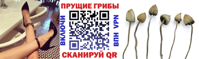 где продают наркотики  Железногорск-Илимский  Галлюциногенные грибы прущие грибы 